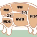 카츠백 이미지