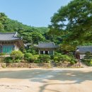 다원카페 - 북구 거진길 74 | 다원카페