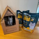 CATS | [고양이모래] 7CATS 벤토나이트 12kg 후기 먼지 없는 강력 탈취력 숨숨집 패키지까지 완벽!