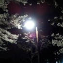 가로등