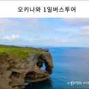 하리다글로벌 | 오키나와 뚜벅이를위한ㅠ 오키나와 일일버스투어 후기