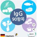 알레르기 | 음식물 과민증 검사 큐체크 지연성 알레르기 결과 후기