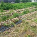 골말농장 이미지