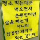 클라우스필라테스 | 와동 요가 클라우스멀티짐 원데이클래스!후기