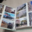 가치타개(타개) 이미지