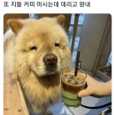 지임커피 Daum카페