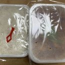 강길도낙지마을 이미지