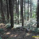 금동펜션 이미지