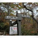 괴목민박 이미지