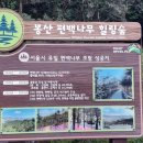 제721회 행복걷기 편백나무 숲길 걷기 공지 이미지