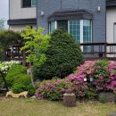 사람과자연 이미지