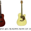 어쿠스틱 기타의 이해 이미지