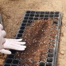 꽃차&약선차 이미지