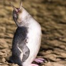 (주)마리투어 이미지