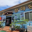 싱싱식품 이미지