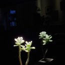 행복나루정신건강의학과의원 이미지