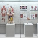 을지대학교 범석의학박물관 이미지