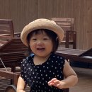 소길채 이미지