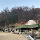 테라스527 이미지