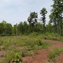 김인기농장 이미지