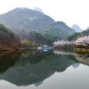 서일농장2 이미지