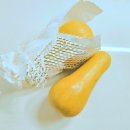 양자농장 이미지