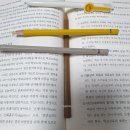 도림로86길 이미지