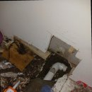 성내동화장실 이미지