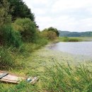 모다페카페 이미지