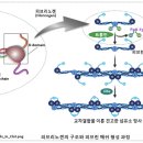 자경로 이미지