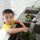 덕유농장 이미지