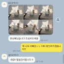 미아역 레터링 케이크 :: 올포유케이크 후기, 가격, 주문방법