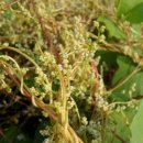 정종농장 이미지