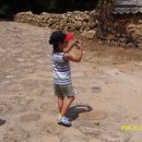 대자연횟집 이미지