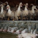 경제농장 이미지