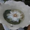 선재마을 이미지