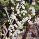 상서재동초 근린공원 | 마루일기 6