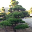 은지농장 이미지