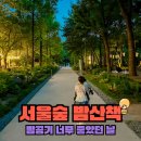 서울숲 야경 밤산책 아이랑 나들이 후기