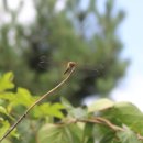 부동목장 이미지