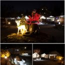 전주도란도란캠핑장 이미지