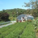 상순농장 이미지