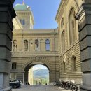 장미길코스 | 스위스 베른 여행 코스 2｜연방의사당·곰공원·장미공원 솔직한 반나절 코스