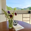 11545-02-12-01 | 합천 반값여행 숙소, 머물렀던 펜션 후기 (내돈내산)