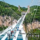 쇼핑어때 | 중국 장가계 패키지 여행 여기어때 패키지 후기