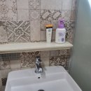 골드독 펜션 이미지