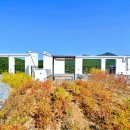 가우디 센트럴파크 이미지