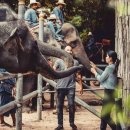 더블유빌리지 이미지