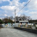 펠리스빼로 이미지