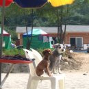 별마로빌리지민박 이미지